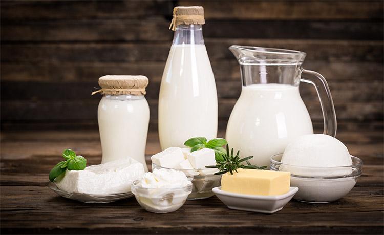 Süt Ürünü İle İlgili Milch Artikeli